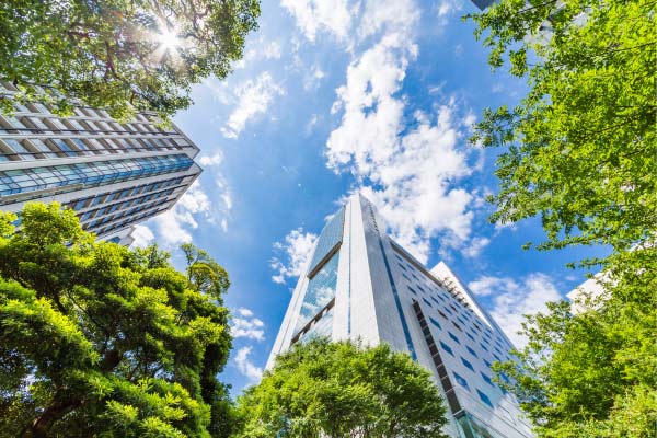 Electrical contractors are vital PlanHub